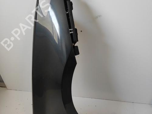 Right front fenders RENAULT LAGUNA III (BT0/1) 1.5 dCi (BT00, BT0A, BT0T, BT1J) | BP29186462C42 