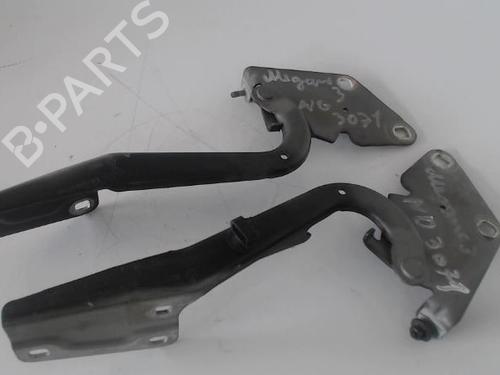 hingedoor-check-strap-renault-megane-iii-hatchback-bz01_-b3_-2008-27036519 main image