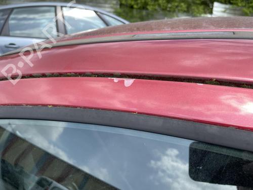 Left front door PEUGEOT 207 (WA_, WC_) 1.4 | BP27035862C2 