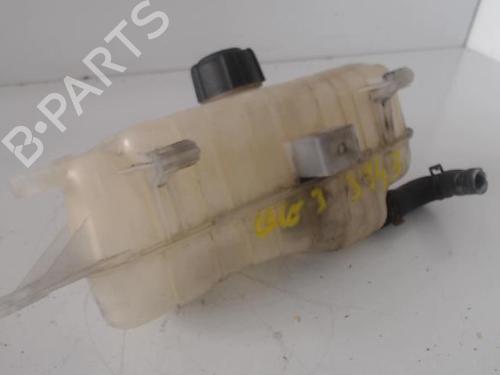 Used Expansion tank RENAULT CLIO III (BR0/1, CR0/1) 1.5 dCi (BR17, CR17) (86 hp) 27036521