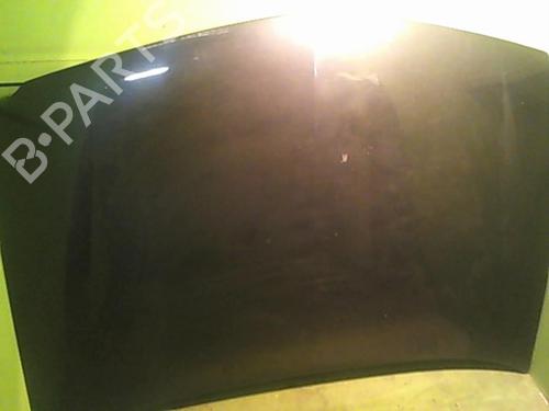 Used Hood RENAULT LAGUNA II (BG0/1_) 2.0 dCi (BG1T) (150 hp) 27029560