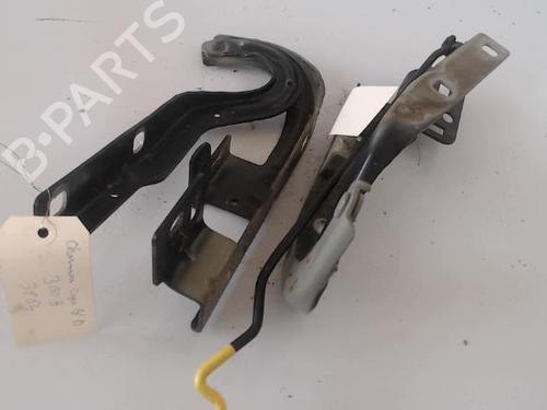 Used Hinge/Door check strap Hinge/Door check strap PEUGEOT 3008 I MPV (0U_) 1.6 VTi (120 hp) 27027745 27027745