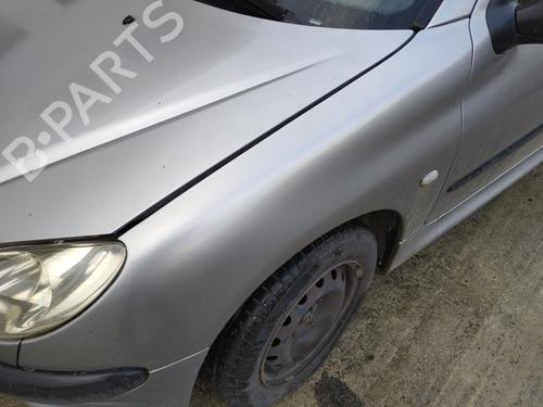 Left front fenders PEUGEOT 206 Hatchback (2A/C) 1.4 i | BP30132655C41
