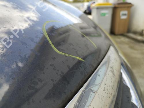 Hood FORD C-MAX (DM2) 1.8 TDCi | BP30132736C1 