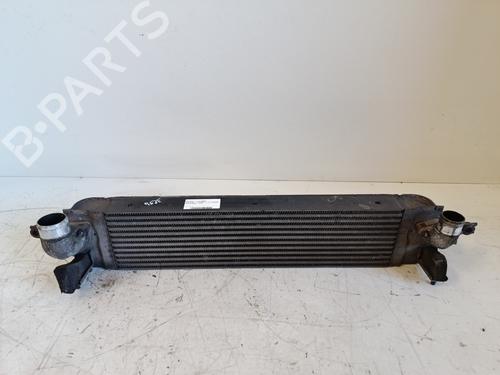 Intercooler RENAULT KOLEOS I (HY_) 2.0 dCi (HY0K) | BP33848830M30 - Image 4