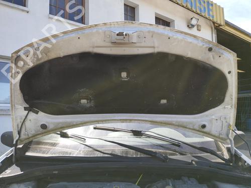 Hood RENAULT CLIO III (BR0/1, CR0/1) 1.5 dCi (C/BR0G, C/BR1G) | BP27035631C1 
