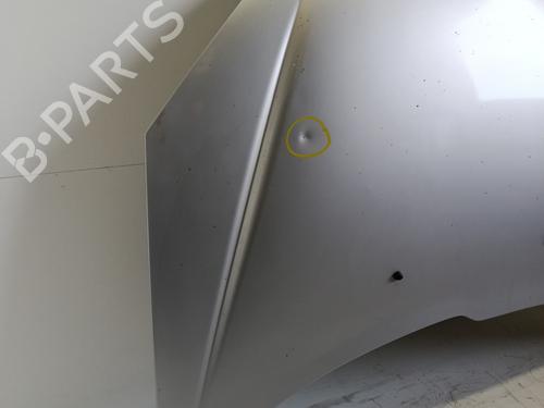 Hood PEUGEOT 206 Hatchback (2A/C) 1.9 D | BP30132819C1