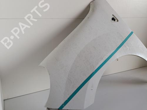 Left front fenders RENAULT KANGOO / GRAND KANGOO II (KW0/1_) 1.5 dCi 90 (KW05, KW08, KW0G, KW11) | BP29334504C41 