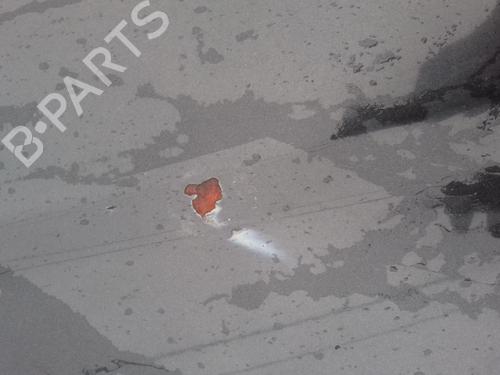 Hood AUDI A3 (8L1) 1.9 TDI | BP27028259C1 