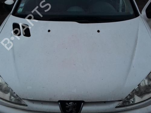 Used Hood PEUGEOT 206 Hatchback (2A/C) 1.4 HDi eco 70 (68 hp) 27027575
