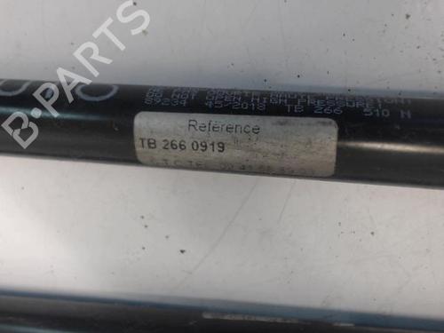 Tailgate lift support CITROËN EVASION MPV (22, U6) 2.0 HDI 16V | BP27026748C138 