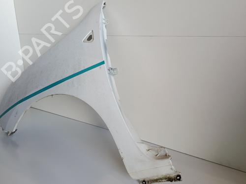 Left front fenders RENAULT KANGOO / GRAND KANGOO II (KW0/1_) 1.5 dCi 90 (KW05, KW08, KW0G, KW11) | BP29334504C41 