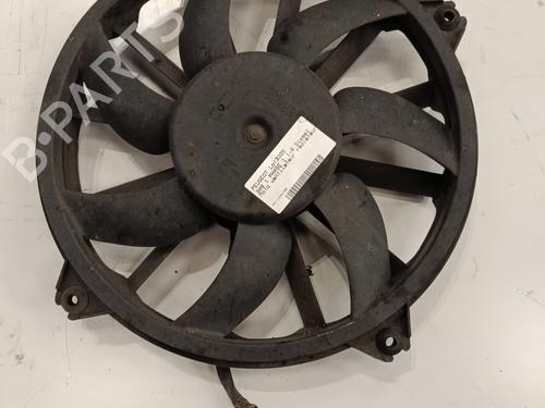 Used Radiator fan PEUGEOT 308 I (4A_, 4C_) 1.6 HDi (109 hp) 29438477