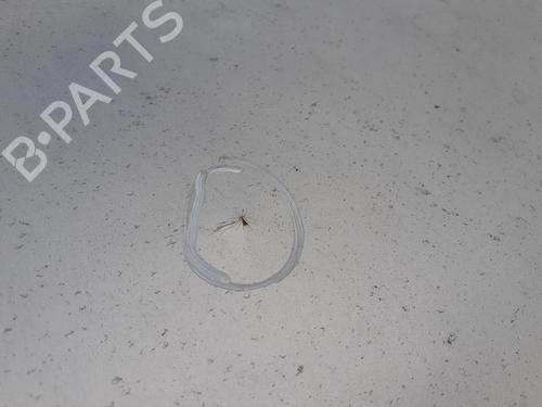 Hood RENAULT LAGUNA I (B56_, 556_) 1.8 (B56Z) | BP27574389C1 