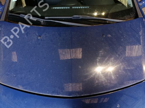 Used Hood Hood RENAULT CLIO III (BR0/1, CR0/1) 1.6 16V (BR05, BR0B, BR0Y, BR15, BR1J, BR1M, BR1Y, CR0B,... (112 hp) 33446126 33446126