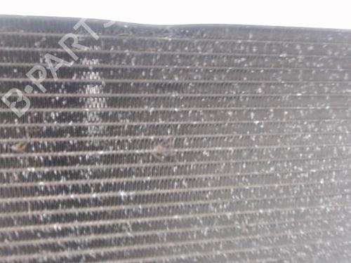 Used Water radiator Water radiator RENAULT MEGANE II (BM0/1_, CM0/1_) 1.5 dCi (BM1E, CM1E) (106 hp) 29190617 29190617