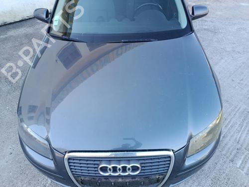 Used Hood AUDI A3 Sportback (8PA) 1.9 TDI (105 hp) 29898841