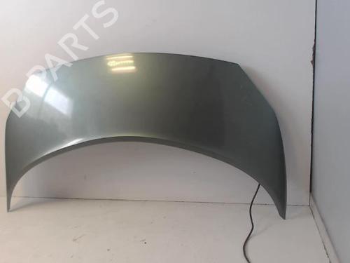 Used Hood RENAULT SCÉNIC II (JM0/1_) 2.0 (JM05, JM0U, JM1N, JM1U, JM2V) (135 hp) 27036503