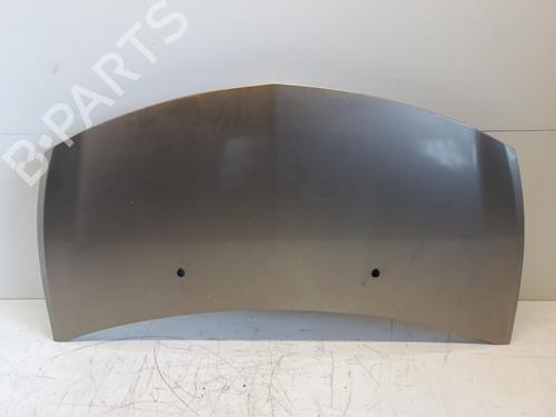 Used Hood RENAULT CLIO III (BR0/1, CR0/1) 1.2 16V (BR02, BR0J, BR11, CR02, CR0J, CR11) (75 hp) 30577409