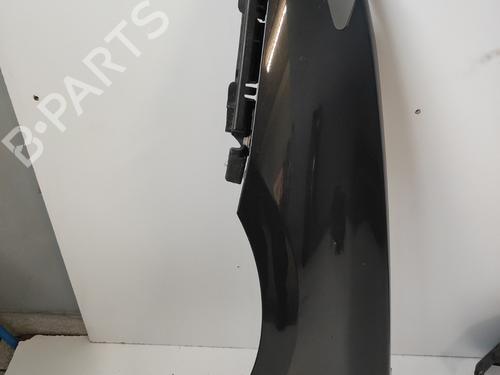 Left front fenders RENAULT LAGUNA III (BT0/1) 1.5 dCi (BT00, BT0A, BT0T, BT1J) | BP29186463C41 
