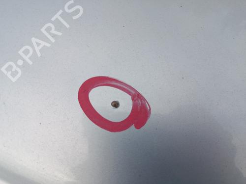Hood PEUGEOT 206 Hatchback (2A/C) 1.6 i | BP29565160C1 