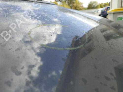 Hood FORD C-MAX (DM2) 1.8 TDCi | BP30132736C1 