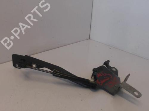 hingedoor-check-strap-renault-scenic-iii-jz01_-2008-2009-2010-2011-2012-2013-2014-2015-2016-27027866 main image