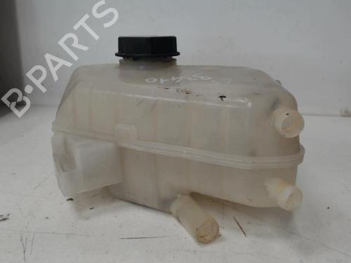 Used Expansion tank FORD FIESTA VI (CB1, CCN) 1.25 (82 hp) 29867981