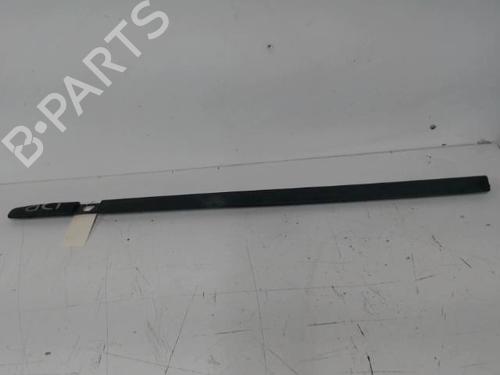 Used Door moulding trim RENAULT CLIO III (BR0/1, CR0/1) 1.5 dCi (BR17, CR17) (86 hp) 30689864
