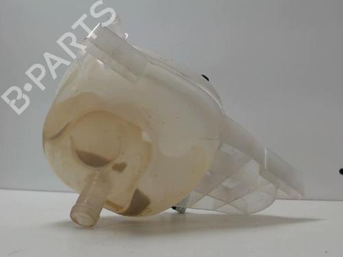 Expansion tank RENAULT TWINGO III (BCM_, BCA_) 1.0 SCe 75 | BP27004154C120 