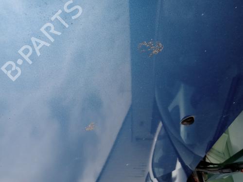 Used Hood Hood RENAULT CLIO III (BR0/1, CR0/1) 1.5 dCi (C/BR0G, C/BR1G) (68 hp) 35779706 35779706