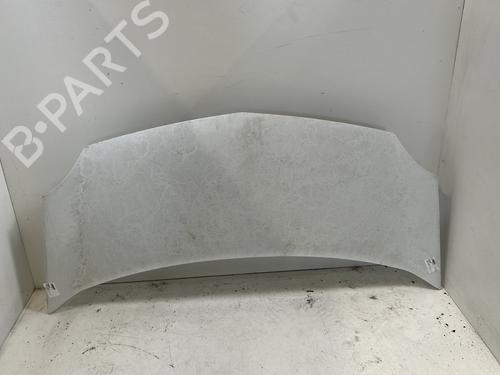 Used Hood RENAULT KANGOO / GRAND KANGOO II (KW0/1_) 1.5 dCi 90 (KW05, KW08, KW0G, KW11) (90 hp) 26991261