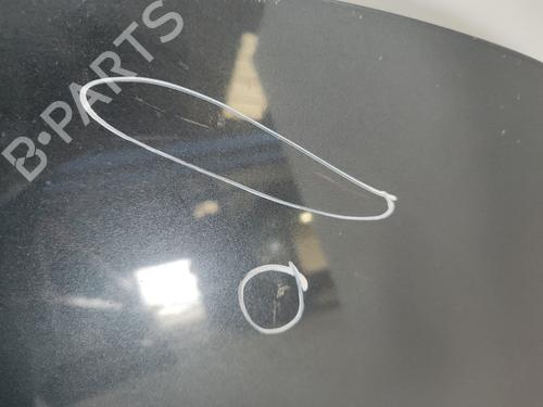 Hood RENAULT SCÉNIC III (JZ0/1_) 1.5 dCi | BP26991014C1