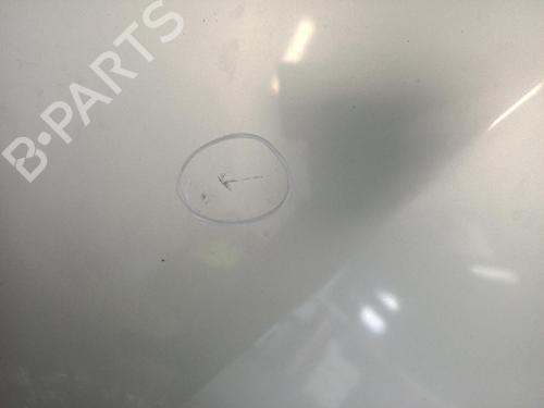 Used Hood RENAULT CLIO III (BR0/1, CR0/1) 1.2 16V Hi-Flex (BR1U, CR1U) (75 hp) 27019844