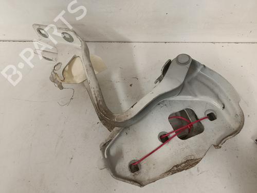hingedoor-check-strap-ford-ka-ru8-2008-2009-2010-2011-2012-2013-2014-2015-2016-36437738 main image