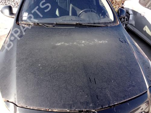 Used Hood OPEL INSIGNIA A Sports Tourer (G09) 2.0 CDTI (35) (110 hp) 29140569