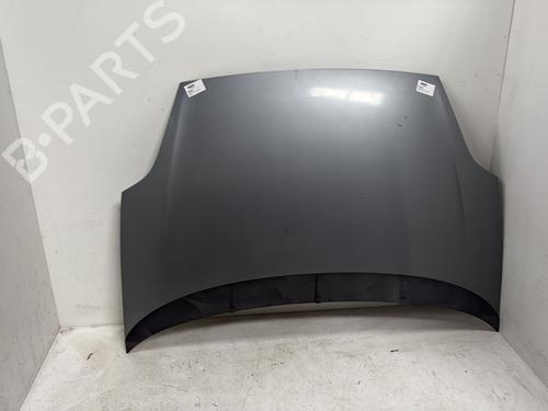 Used Hood FIAT GRANDE PUNTO (199_) 1.3 D Multijet (75 hp) 27003569