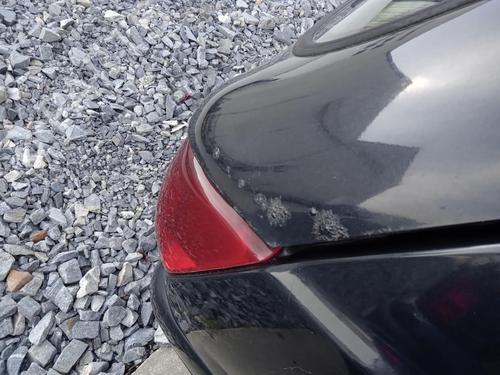 Tailgate FORD FIESTA IV (JA_, JB_) 1.8 DI | BP26993184C6 