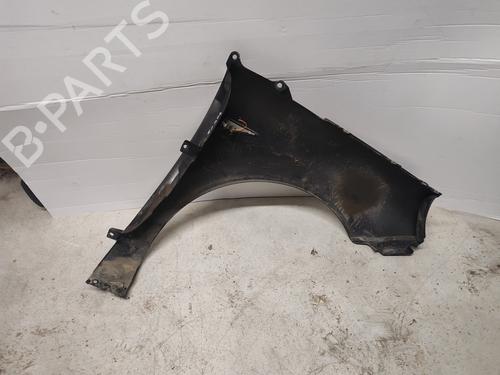 Left front fenders RENAULT SCÉNIC II (JM0/1_) 1.9 dCi (JM14) | BP30174641C41
