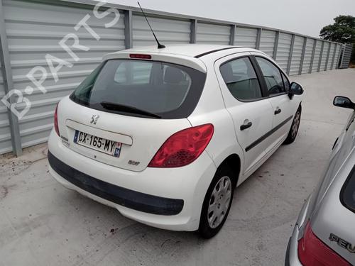Used Tailgate PEUGEOT 207 (WA_, WC_) 1.4 HDi (68 hp) 27009649