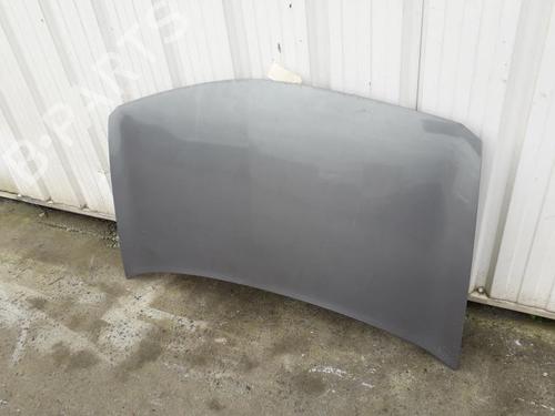 Used Hood RENAULT MEGANE II (BM0/1_, CM0/1_) 1.9 dCi (BM0G, CM0G) (120 hp) 26983527