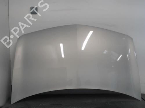 Used Hood RENAULT MEGANE II (BM0/1_, CM0/1_) 1.9 dCi (BM0G, CM0G) (120 hp) 27022306