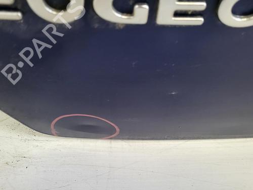 Tailgate PEUGEOT 307 (3A/C) 2.0 HDi 110 | BP26982365C6 