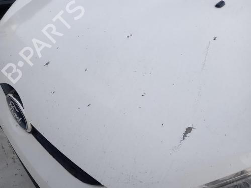 Hood FORD FIESTA VI (CB1, CCN) 1.6 TDCi | BP27005780C1 