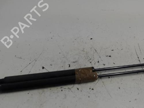 Used Tailgate lift support CITROËN C3 II (SC_) 1.4 HDi 70 (SC8HZC, SC8HR0, SC8HP4) (68 hp) 27014246
