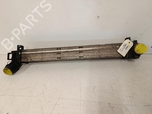 Intercooler RENAULT SCÉNIC III (JZ0/1_) 1.5 dCi | BP32497751M30 - Image 2