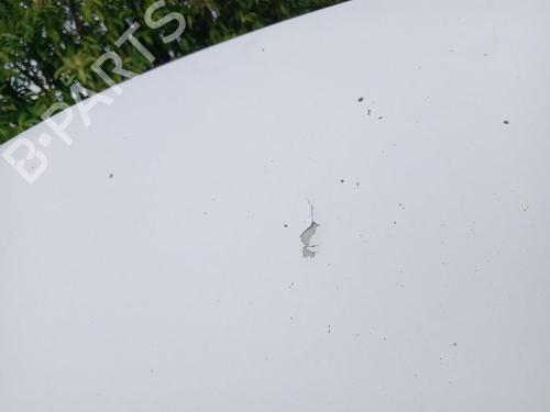 Used Hood Hood CITROËN JUMPY II Van 1.6 HDi 90 16V (90 hp) 27001620 27001620