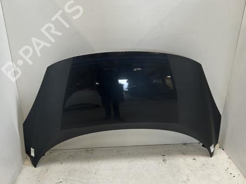 Used Hood RENAULT SCÉNIC III (JZ0/1_) 1.9 dCi (JZ0J, JZ1J, JZ1K, JZ1S) (131 hp) 26981405