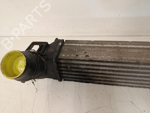 Intercooler RENAULT SCÉNIC III (JZ0/1_) 1.5 dCi | BP32497751M30 - Image 3