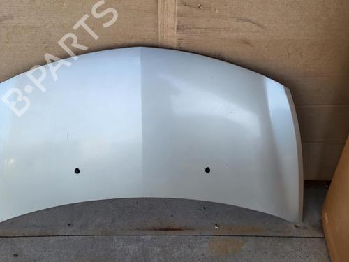 Hood RENAULT CLIO III (BR0/1, CR0/1) 1.4 16V | BP27024649C1 